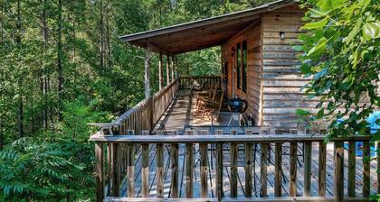Twin Cedars Cabin in the Woods! Birders paradise near Sipsey and Bankhead
