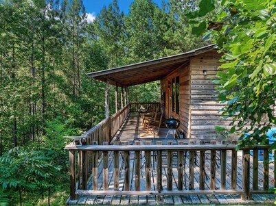 Twin Cedars Cabin in the Woods! Birders paradise near Sipsey and Bankhead