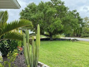 Enjoy the serene atmosphere of this beautifully landscaped outdoor space, featuring a variety of plants and a shaded area.