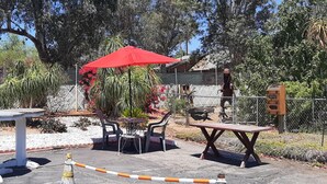 A dinosaur statue, outdoor seating, and a fenced area with plants. - Harry's Man Cave: The New Star Motel Experience (Moreno Valley)