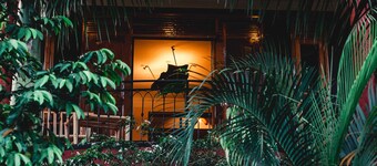 Self Catering holiday home - farm stay at the oasis in the city