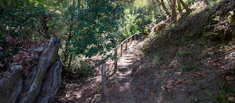 Ecolodge And Wines with native nature, where Chilean wine was born.