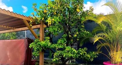 Bungalow pitaya a 2 minutes des plages de sainte Luce