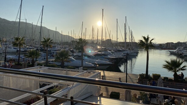 Een jachthaven met veel boten afgemeerd, palmbomen en een heldere lucht.