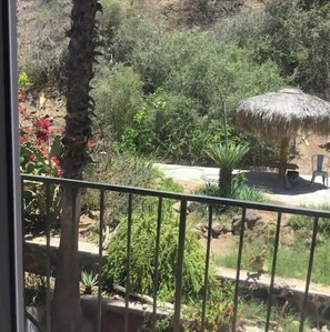 Blick auf einen Garten mit einem reetgedeckten Gebäude, verschiedenen Pflanzen und einem Metallgeländer.