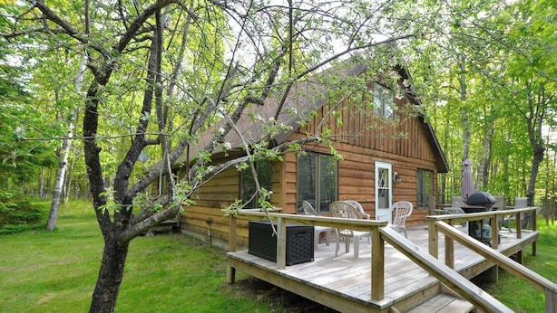 Een houten chalet met terras, zitplaatsen buiten en een barbecueplaats.