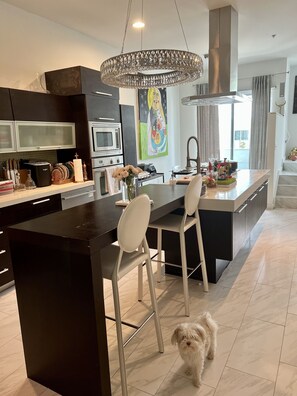 Een moderne keuken met een centraal eiland, barstoelen, een hanglamp en een hond op de vloer.