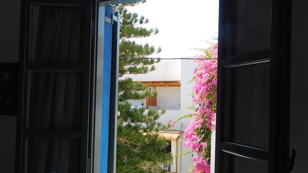 A view through an open door to a pool area with potted plants and a building in the background. - Perissa Art Villa - Kitchen & Washing Machine (Santorini)