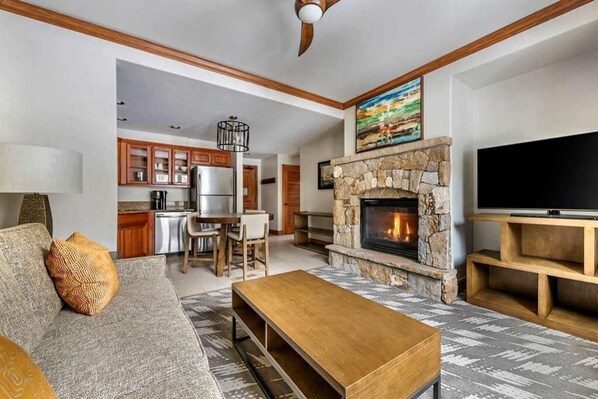 TV, fireplace, video games, DVD player