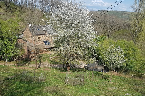 Overnatningsstedets område