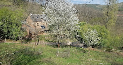 Isolated house set in vineyards and woods