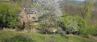 Isolated house set in vineyards and woods