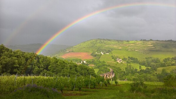 A vineyard with a rainbow, rolling hills, and a historic stone bridge. - Isolated house set in vineyards and woods (VALADY)