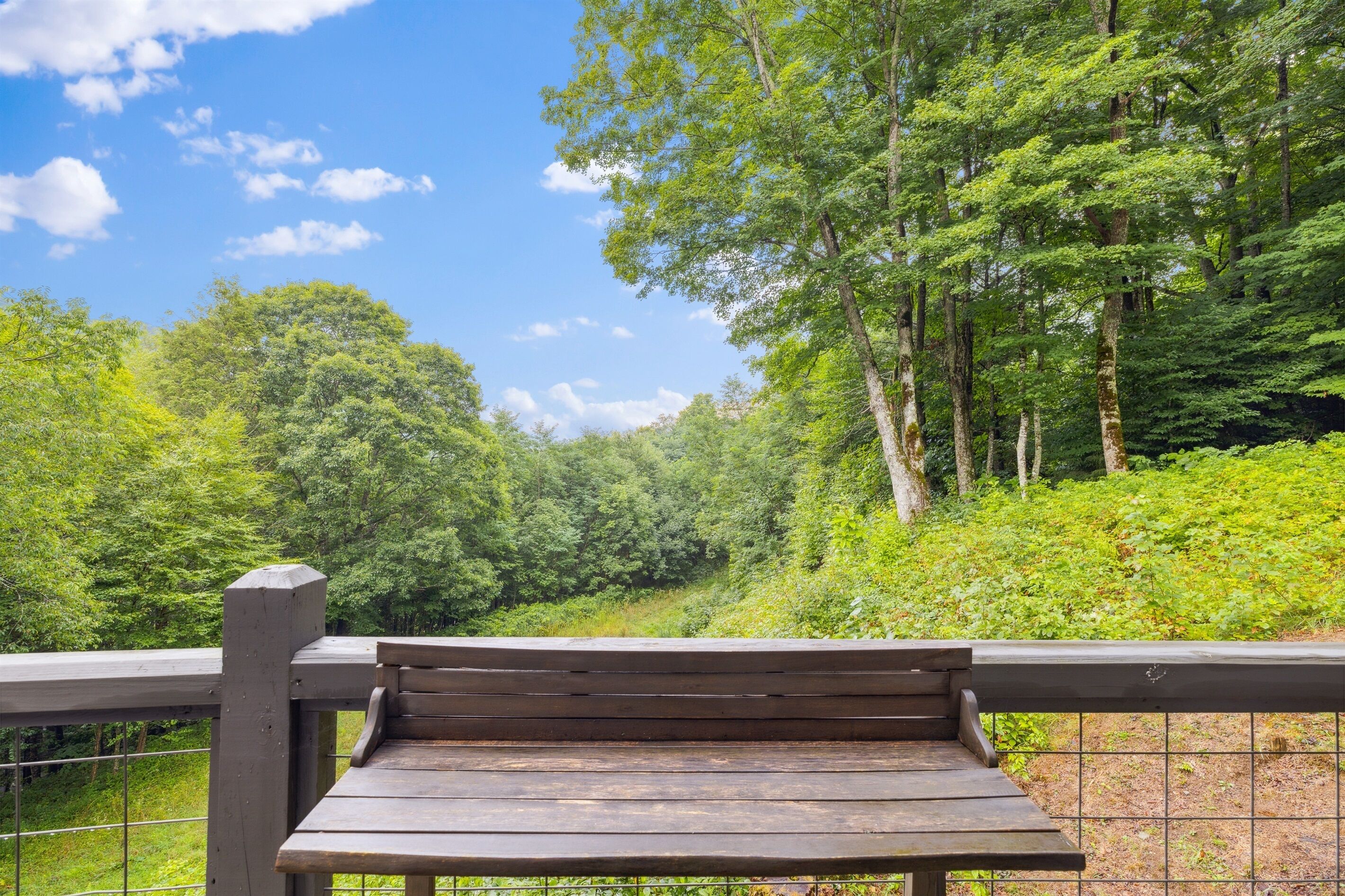 A wooden bench with a metal railing, overlooking a dense forest and a clear blue sky.