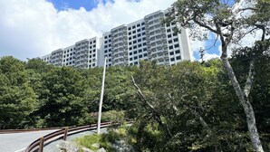Un edificio residencial de varios pisos con balcones, rodeado de abundante vegetación y una carretera curva.