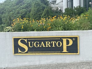 A sign with the name "Sugarto" on a concrete wall, surrounded by greenery and flowers.