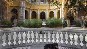 Un edificio histórico con una fuente, un perro acostado en el suelo y una balaustrada.