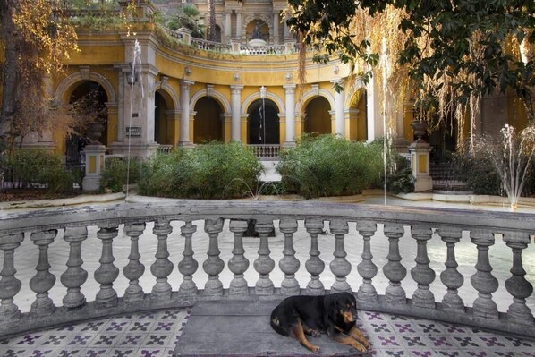Un edificio histórico con una fuente, un perro acostado en el suelo y una balaustrada.