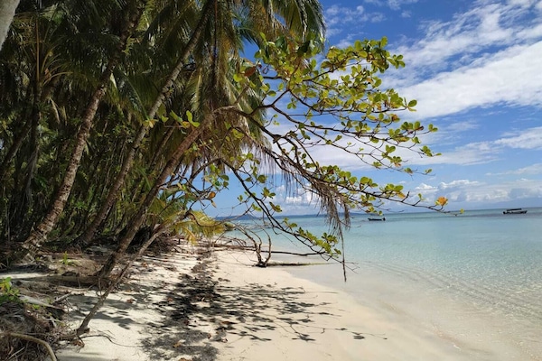 Private beach nearby, white sand, beach shuttle, sun-loungers