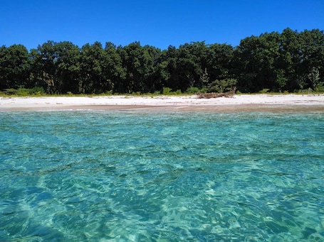 Private beach nearby, white sand, beach shuttle, sun loungers