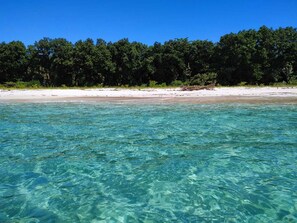 A beach with clear turquoise water, white sand, and a forested area in the background.