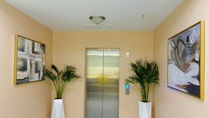 A modern elevator with a glass door, flanked by two white planters with green plants, and two abstract paintings on the walls. - The New View Inn (Road Town)