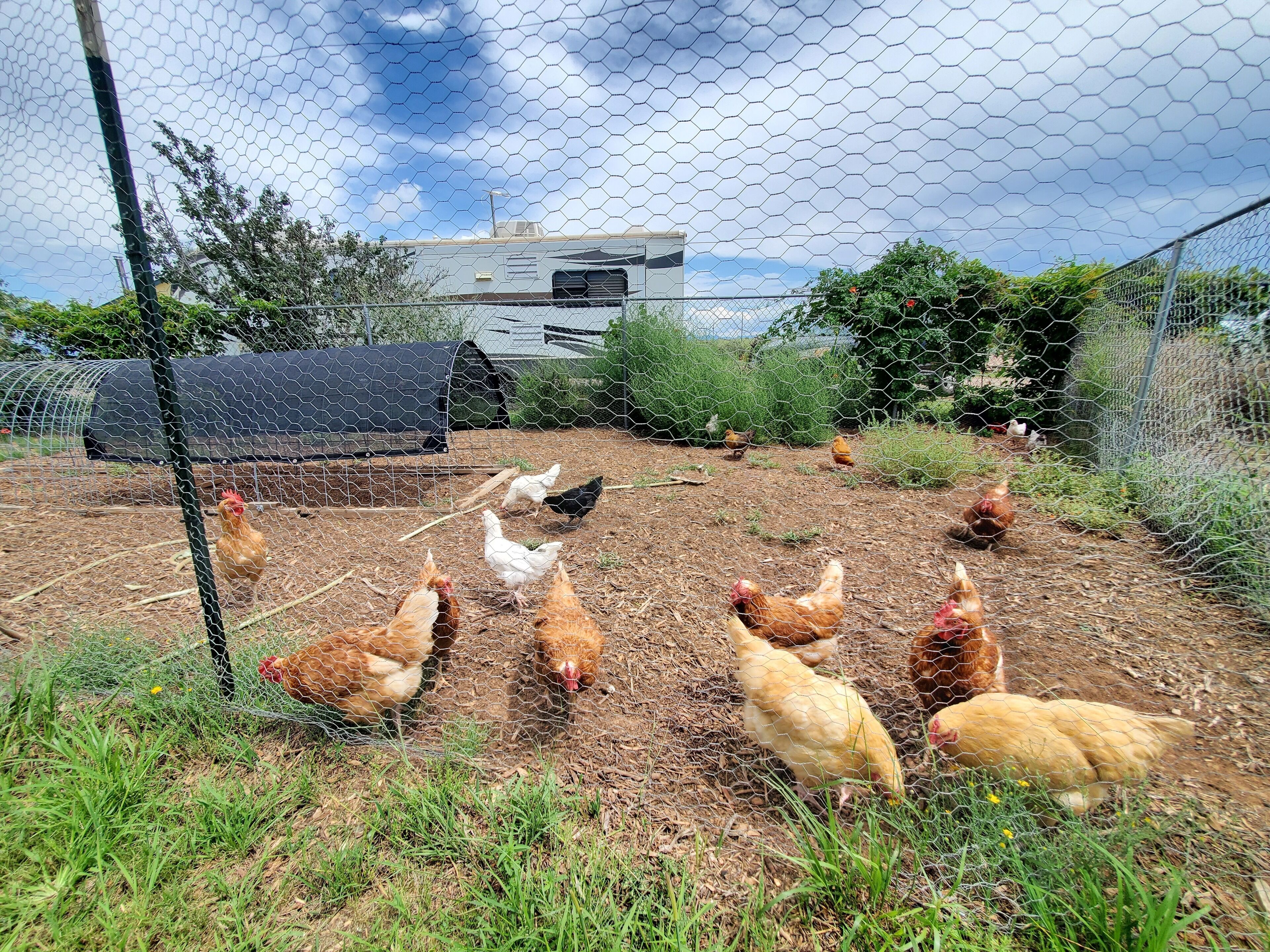 Parco della struttura