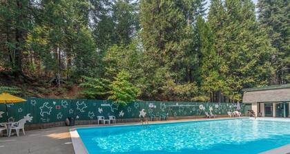 Pet Friendly,Pool Table + Ping Pong, close to Lakes, Hiking and Skiing and More!