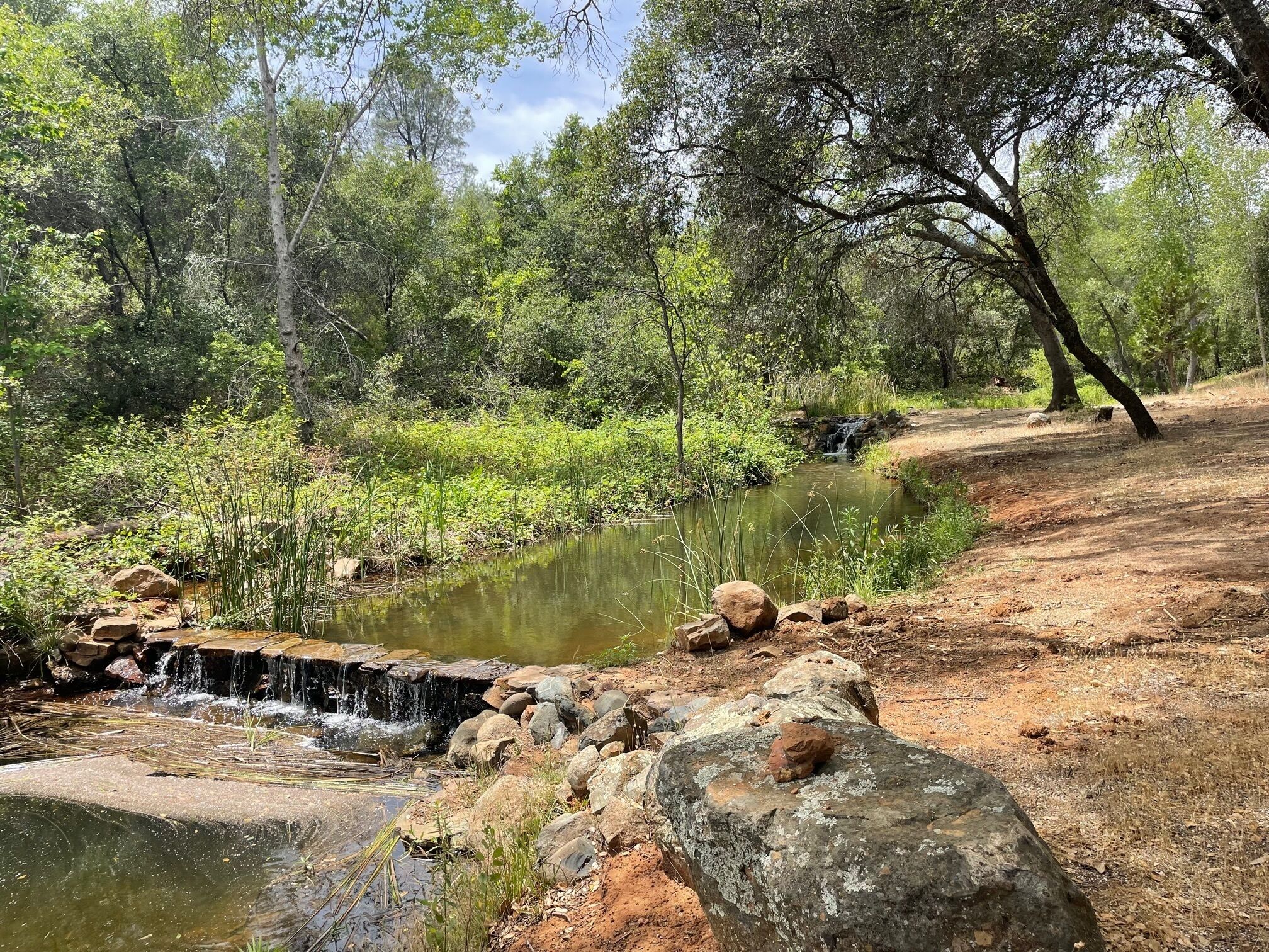 Paisatge natural amb una petita cascada, envoltat d'arbres i roques.