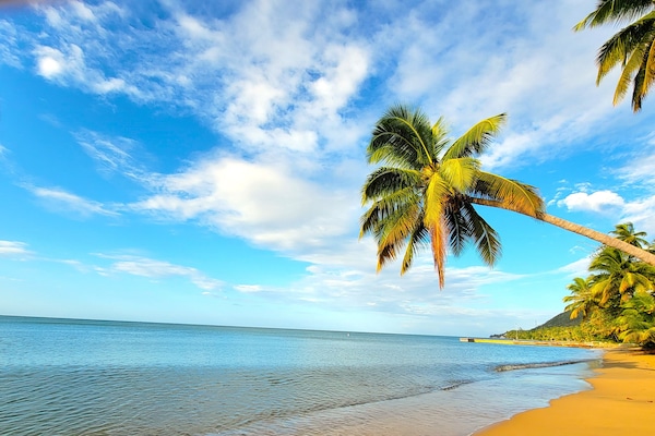 Plage, chaises longues, serviettes de plage