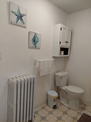 Tina con regadera, secadora de cabello, toallas, jabón 