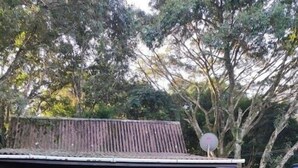 Un sendero de madera conduce a un edificio rústico con techo de metal, rodeado de vegetación y un pequeño espacio con terraza.