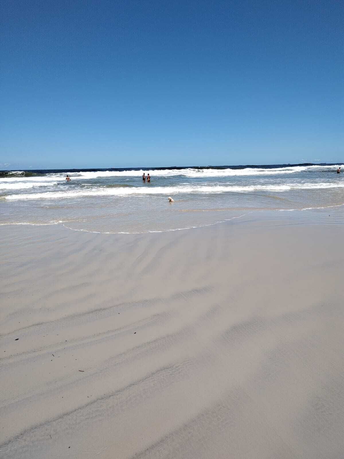 Vue sur la plage ou l’océan