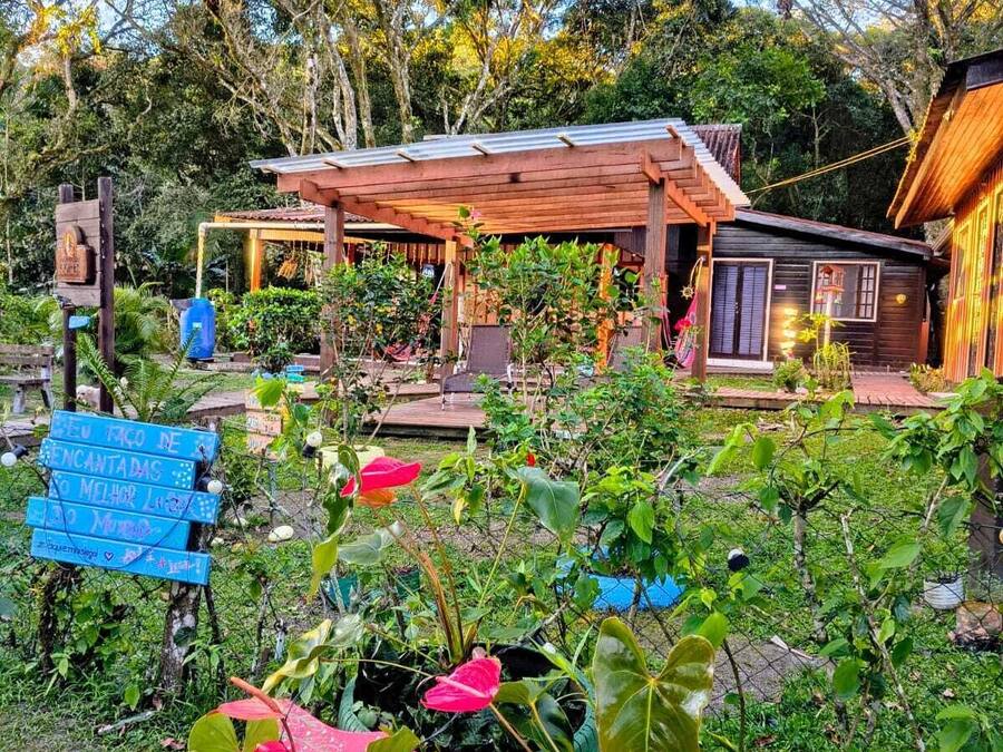 A rustic wooden house with a covered patio, surrounded by lush greenery and potted plants.