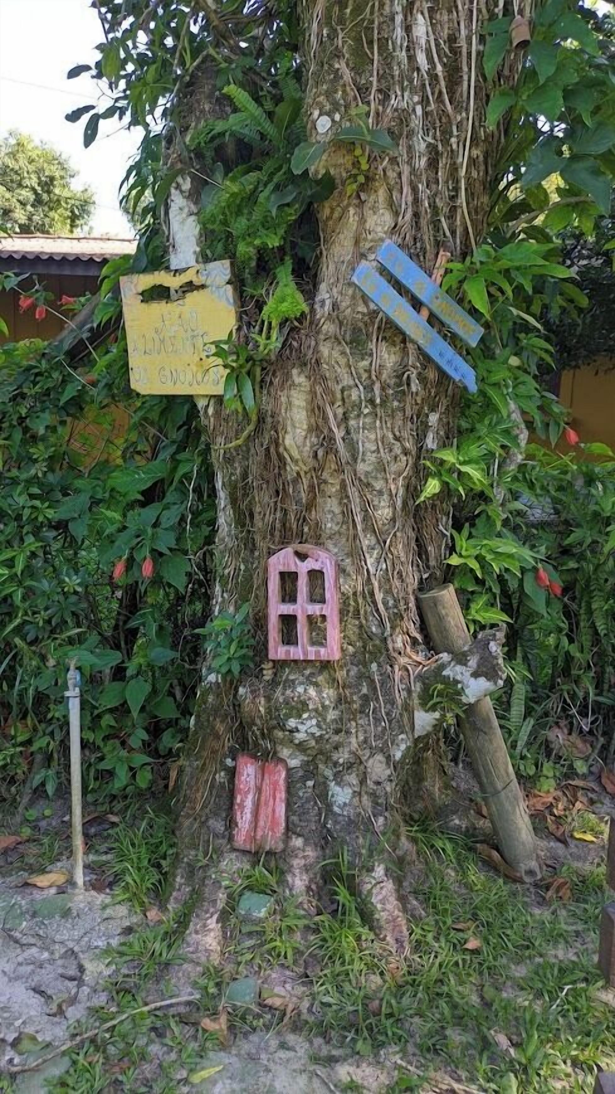 A tree with signs and a small window.