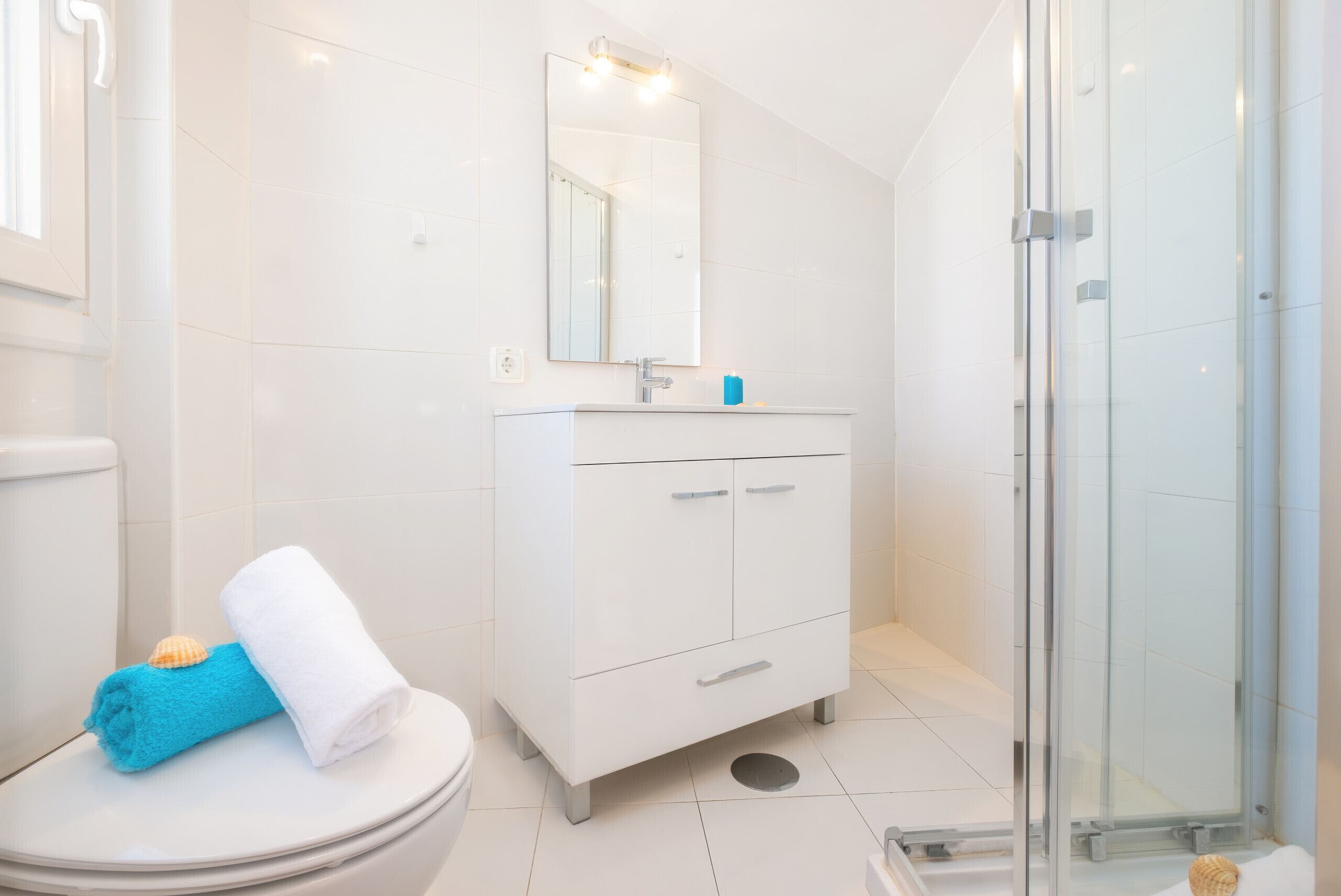 Shower, hair dryer