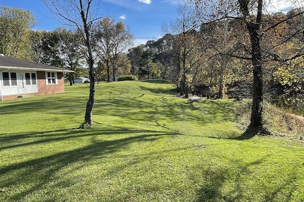 Large back yard for all of entertainment options