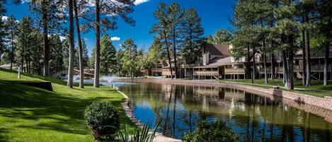 Terrain de lâhĂ©bergement