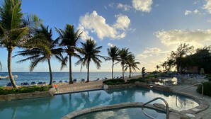 Zona de piscina con vista al océano, rodeada de palmeras y sillones de descanso.