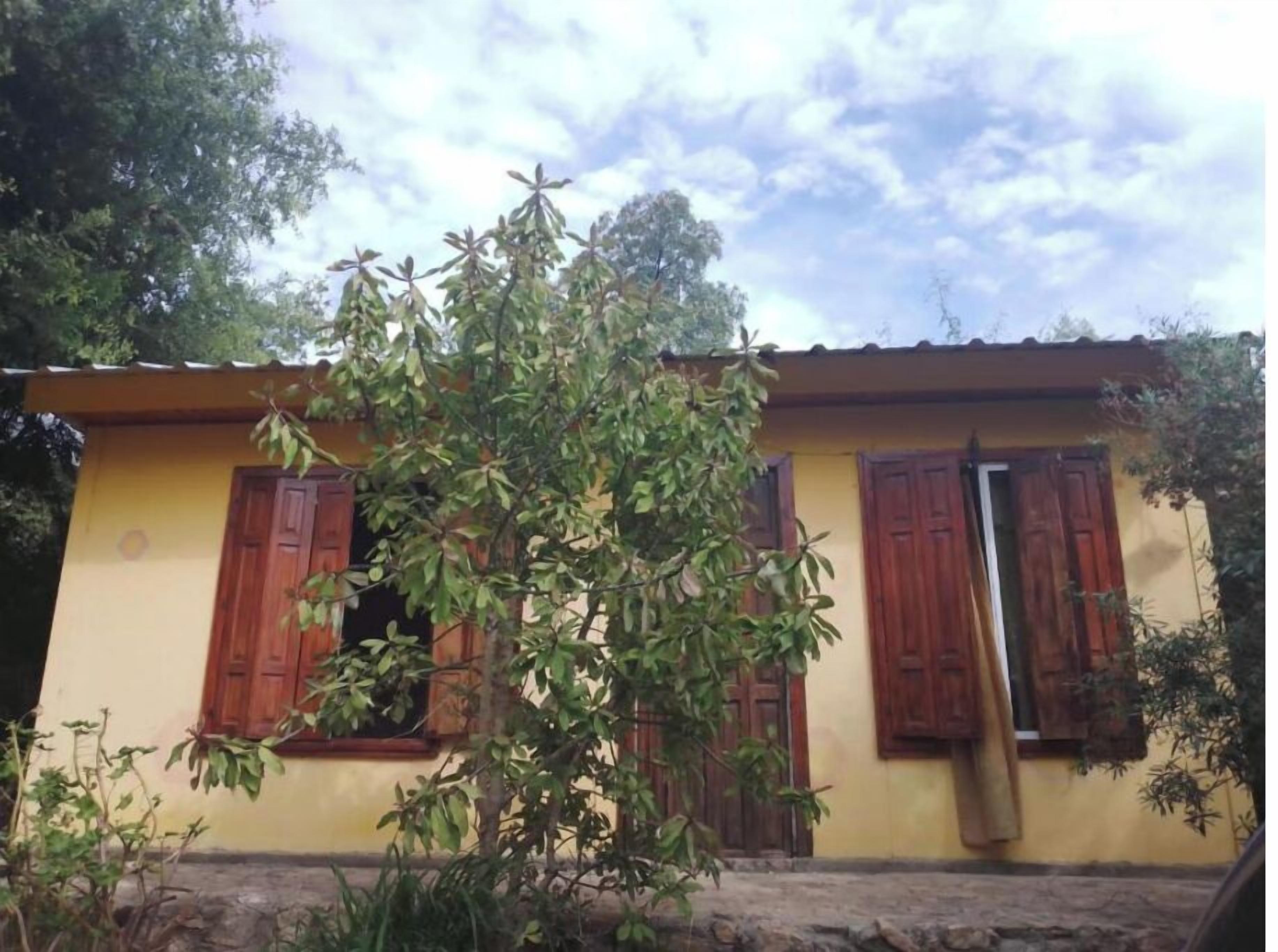 Detalle exterior
