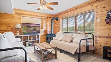 Televisión y chimenea