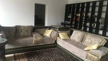 TV, fireplace, books