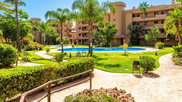 A hotel courtyard with a swimming pool, palm trees, and a brick pathway.