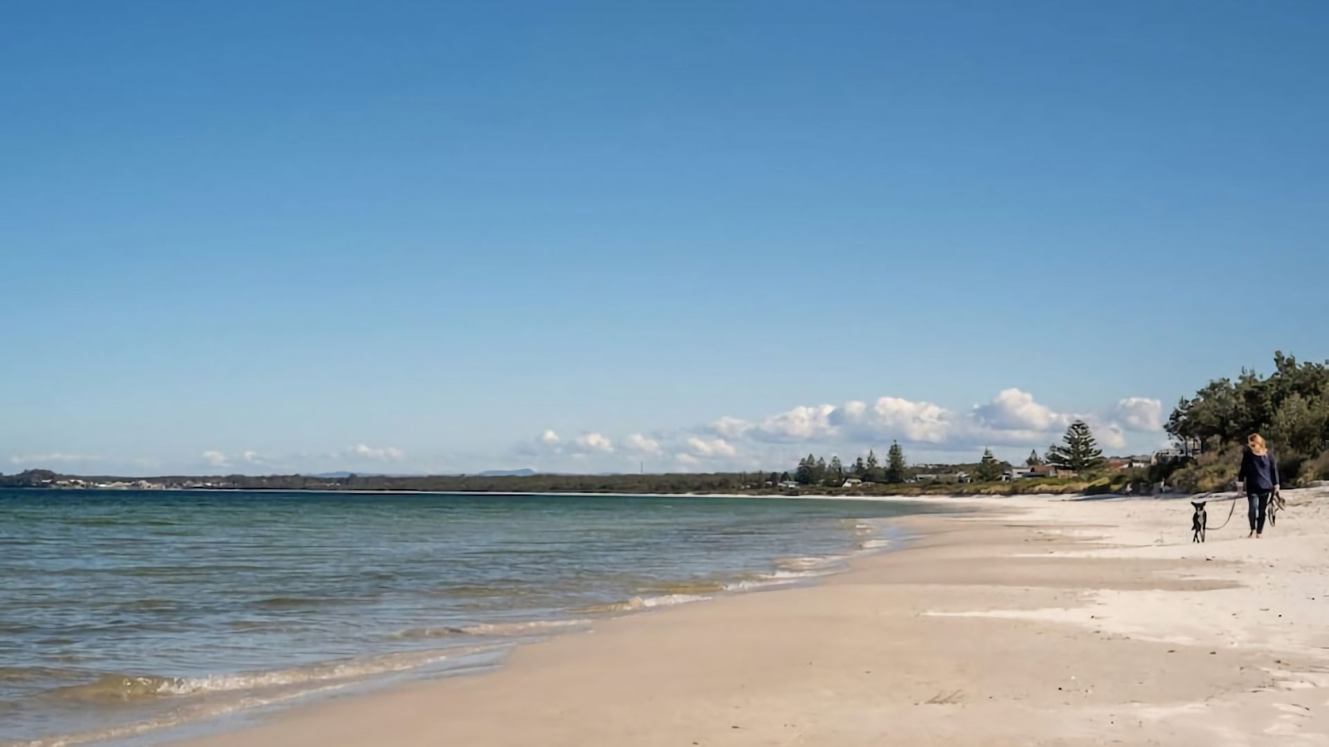 Une plage avec un ciel dégagé, une eau calme et une personne promenant un chien.