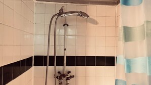 A shower with a chrome faucet and a flexible hose.