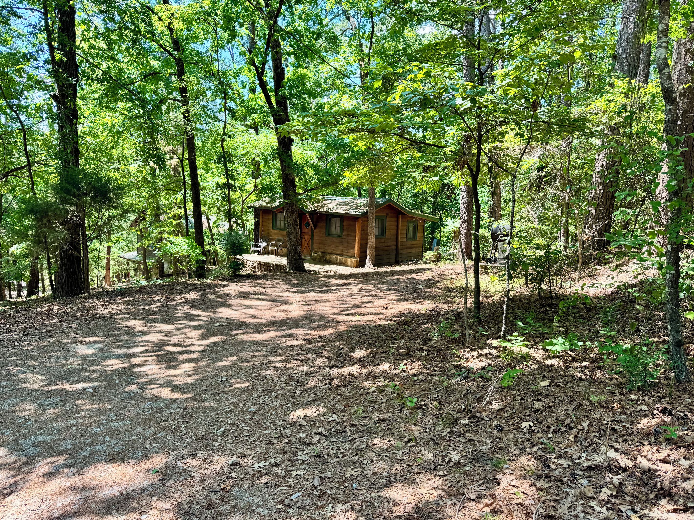 A rustic cabin surrounded by dense forest with a dirt path leading to it.