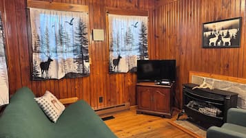 A cozy cabin interior with wooden walls, a green sofa, a television, and a fireplace.