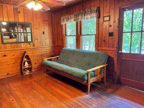 Smart TV, fireplace, DVD player, books