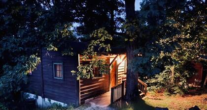 C-FOR THE BIRDS! Vintage Style Cabin - Lake Access, Swimming, Fishing, Docks, Pet Friendly!