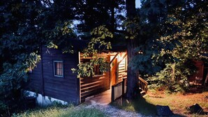 Eine Holzhütte mit einer Holzdiele und einem Fenster, umgeben von Bäumen und Gras.